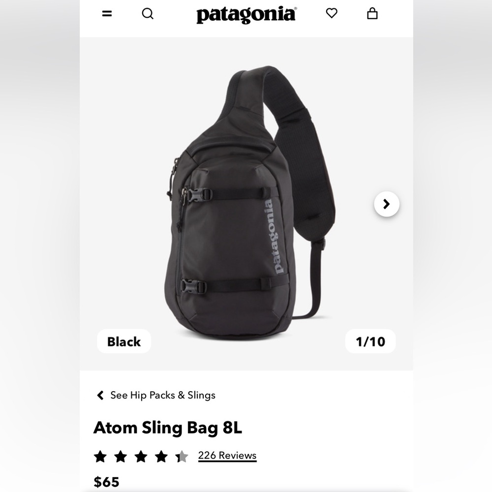 NWT Patagonia 8L Atom Sling bag